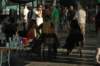 dsc_0090_small.jpg