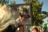 dsc_0136_small.jpg