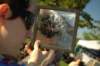 dsc_0138_small.jpg